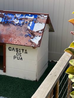 Dog house