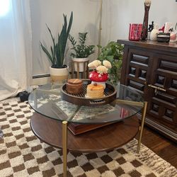 Mid Century Modern West Elm Coffee Table 