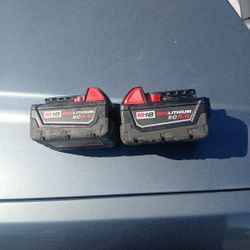 2 Milwaukee 5.0 Batteries 
