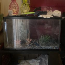Used Fish Tank And Stand