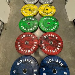 Bumpers Plate, Brand New In Box, Olympic Weights, Professional Weights