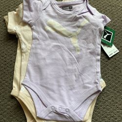 5 Piece Shirts 