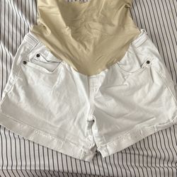 Maternity Shorts