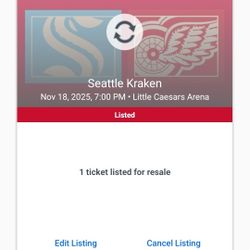 11/18 Detroit Redwings