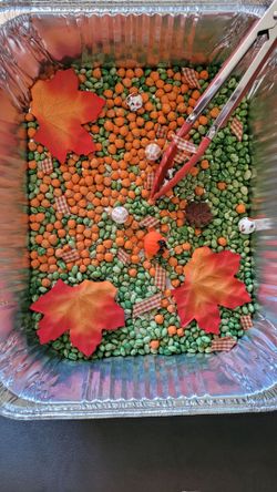 Fall Harvest Sensory Bin for Kids