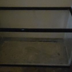 Fish Tank