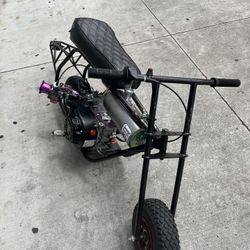 Wheelie Bar Gts