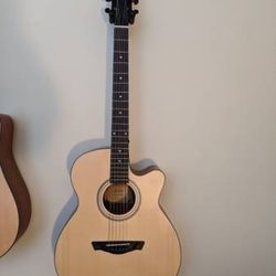 Acoustic Guitar, With Gig Bag