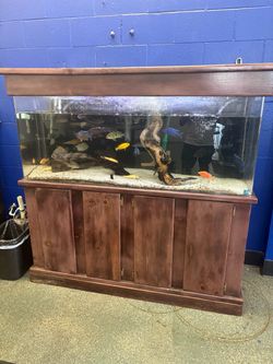 Aquarium