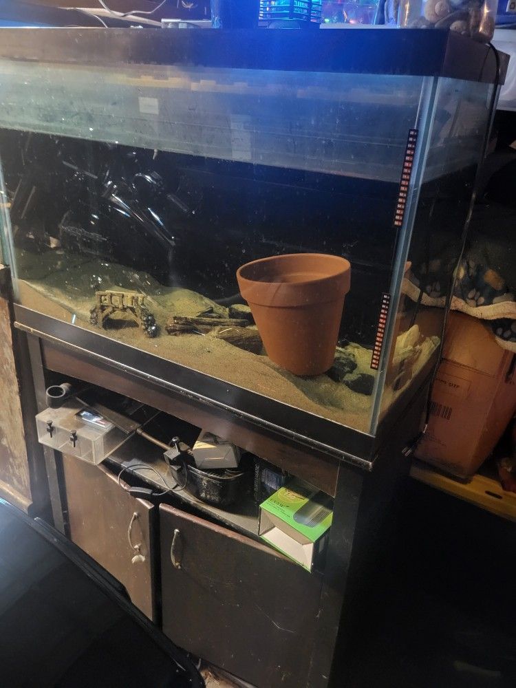 Fish Tank And Stand