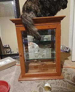 Glass and wooden curio
