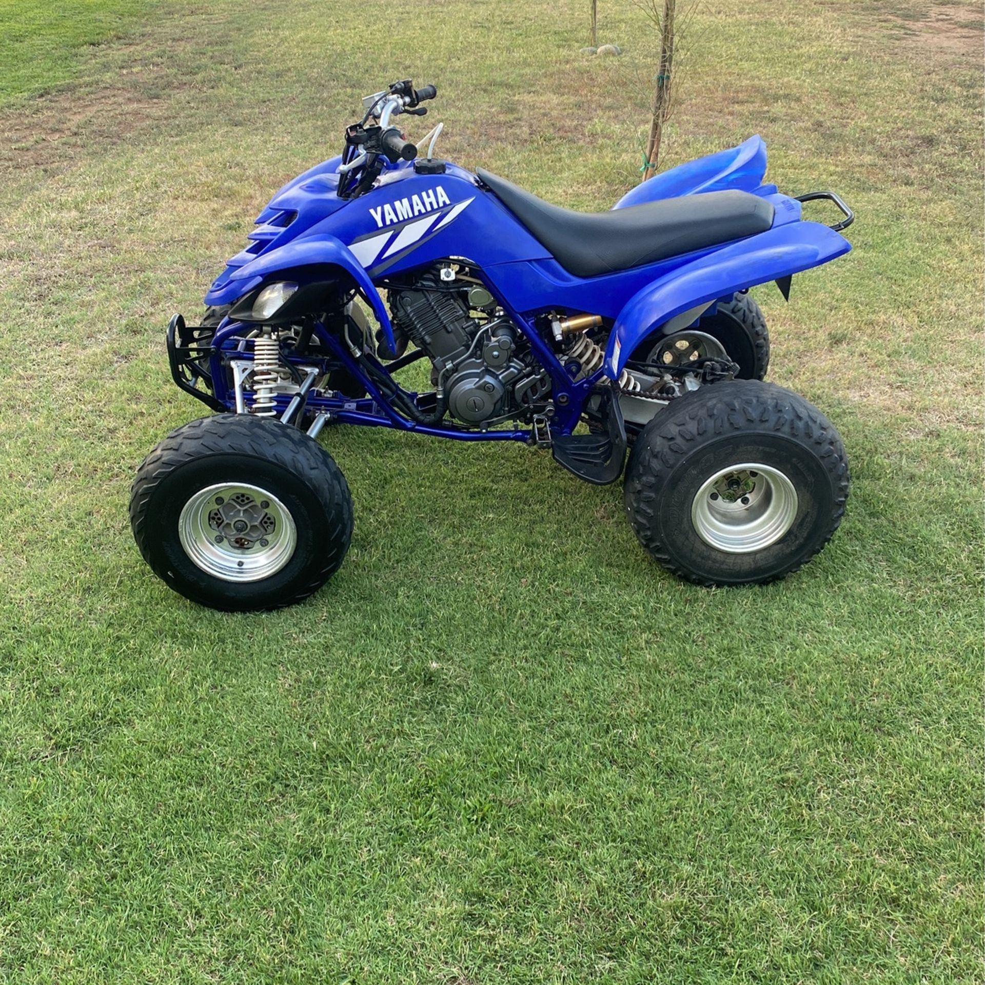 2001 Yamaha 660 raptor for Sale in Sanger, CA - OfferUp