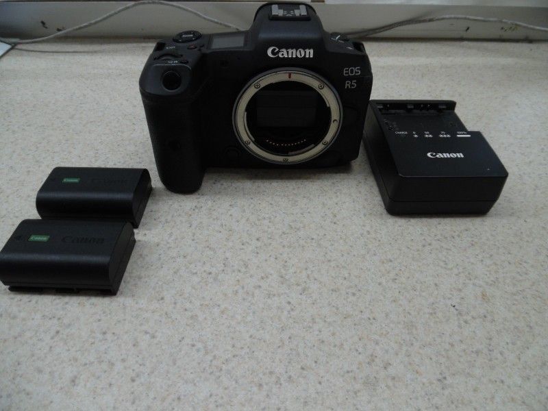Canon EOS R5 45.0MP Mirrorless Camera - Black (Body Only)