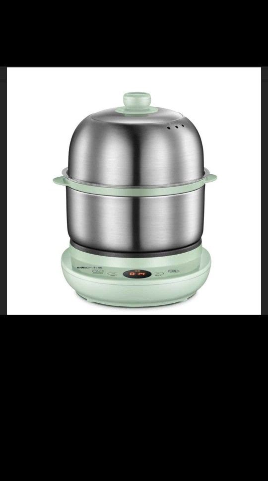 Electric Small Food Steamer 2 Tier, Egg Cooker with Steaming & Frying, Stainless Steel Vegetable Ste