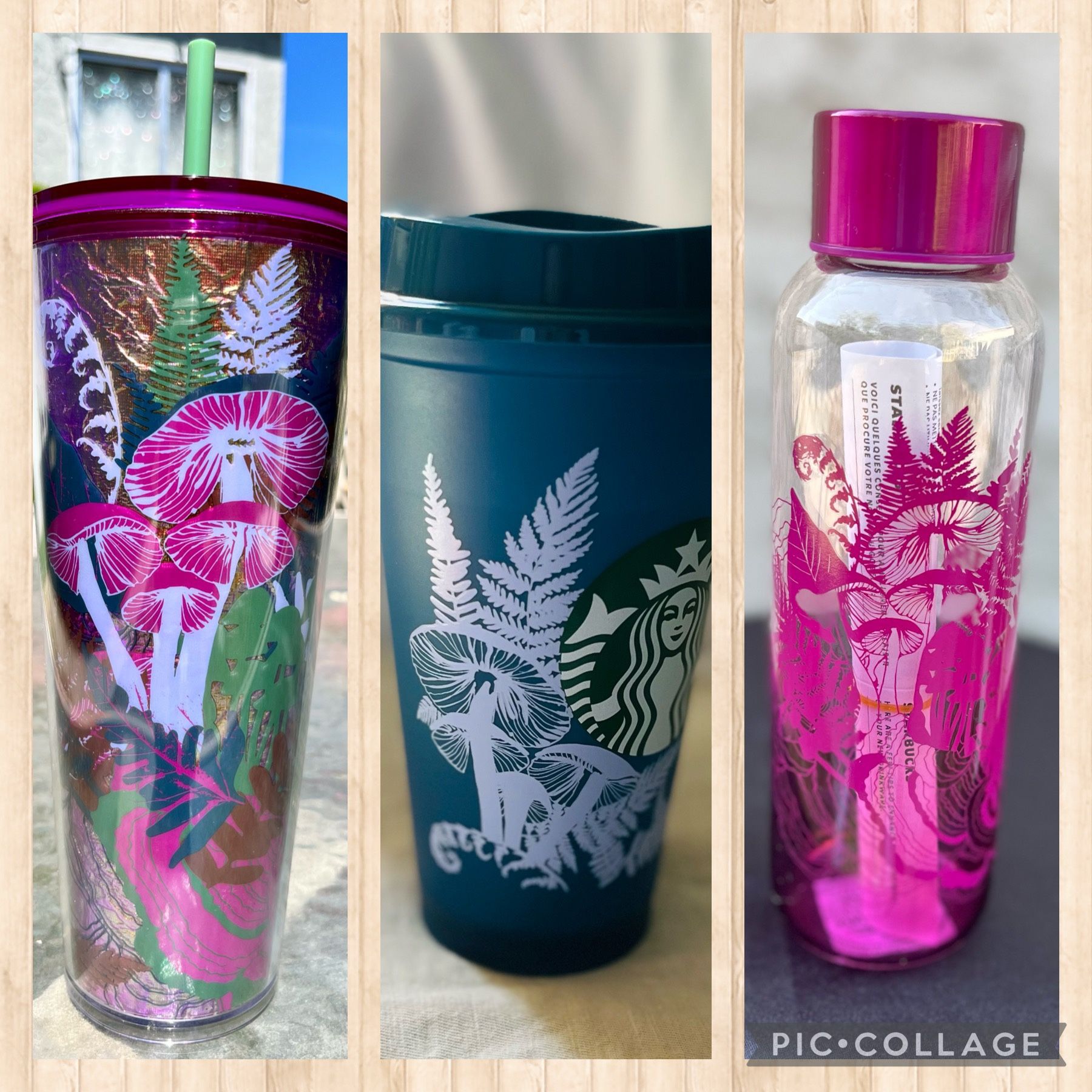 Starbucks mushroom collection SET venti cup, water bottle, reusable hot cup