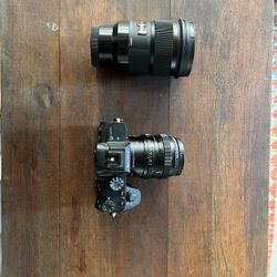 Sony A73 with Sigma 35mm & 50mm e-lens