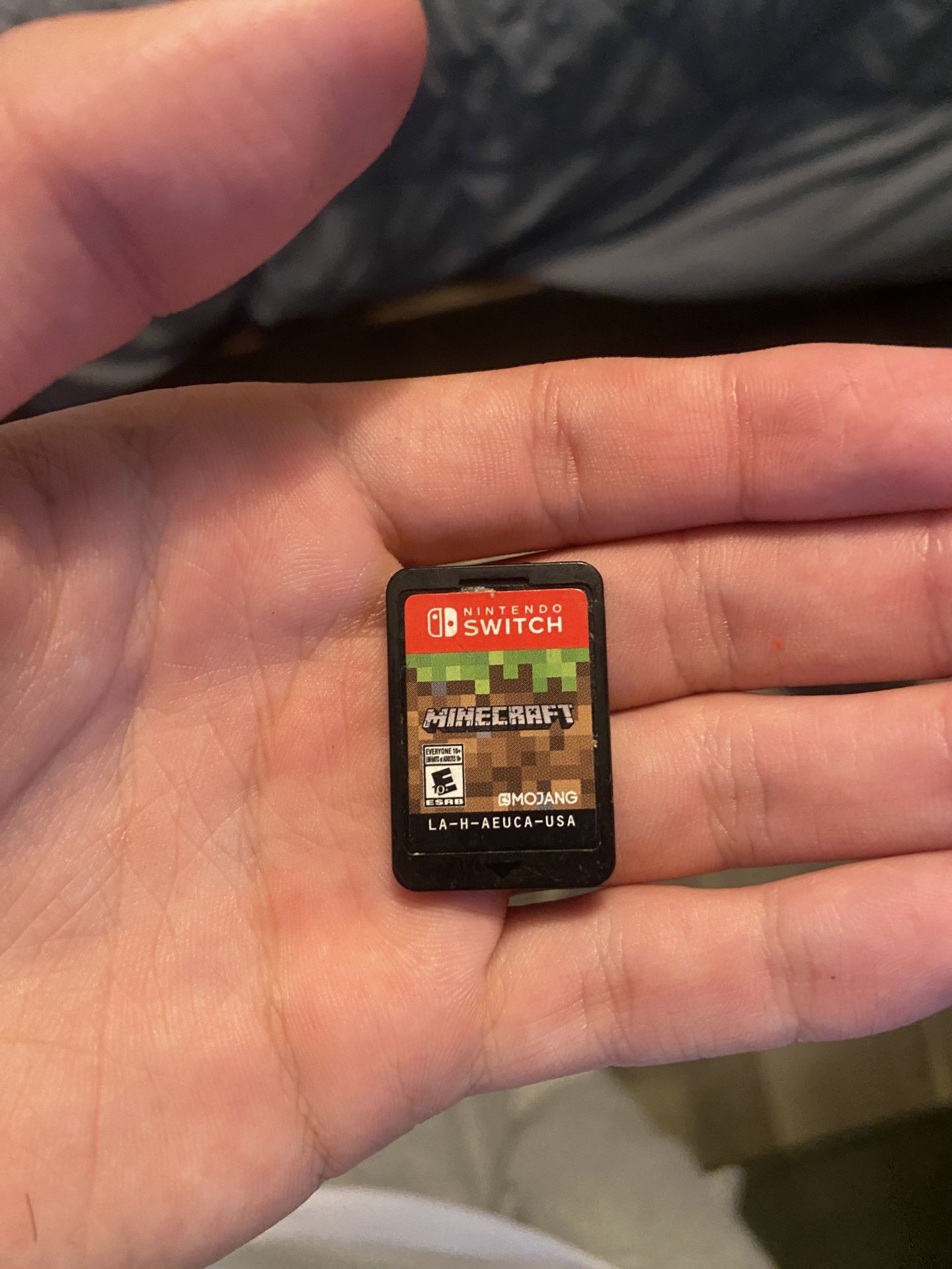 Minecraft for Nintendo Switch