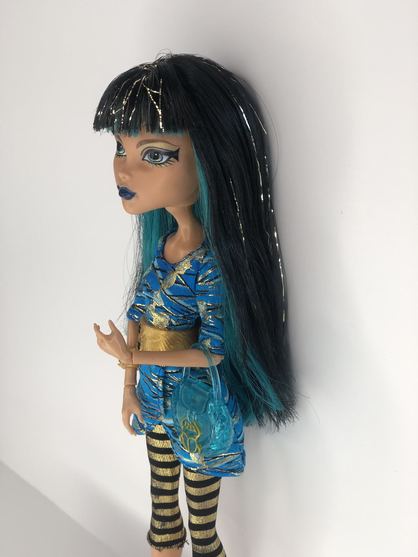 Monster High Picture Day Cleo De Nile Doll  Monster high pictures, Monster  high dolls, Picture day