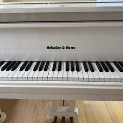 Beautiful Baby Grand Piano 