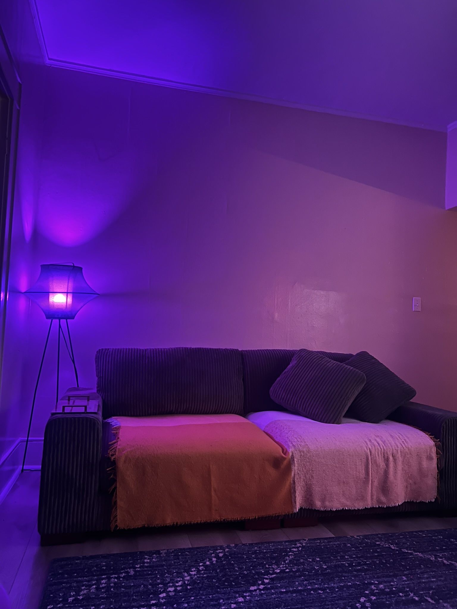Wayfair Couch