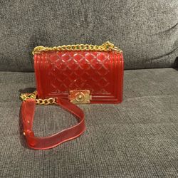 Never Used Pink Luxurious Bag 