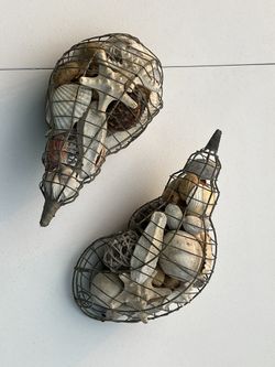 Sea Shells