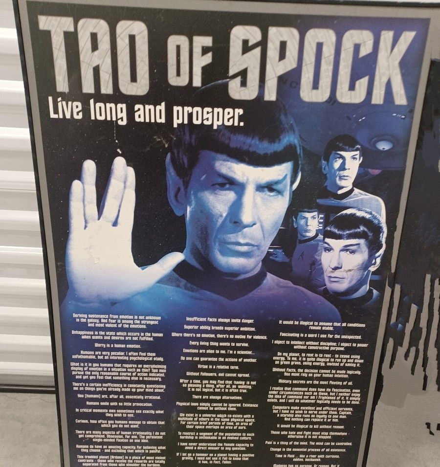 Tao of Spock Poster Picture Frame 24" × 36"