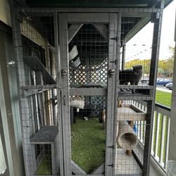 Catio