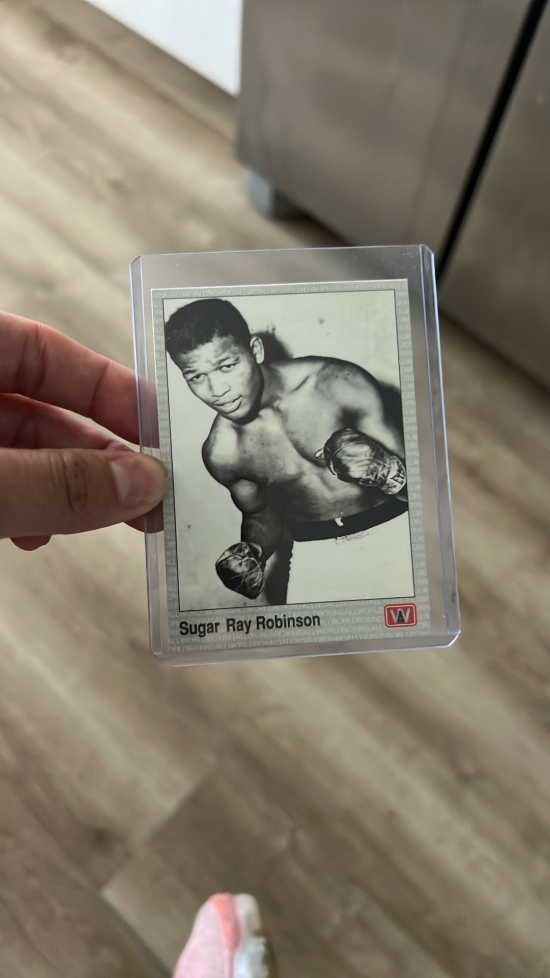 Sugar Ray Robinson
