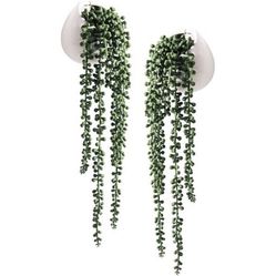 2 Artificial Succulents Hanging Plants Fake String of Pearls in White Ceramic