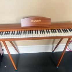 Uiscom Piano Keyboard-local Pick Up Only