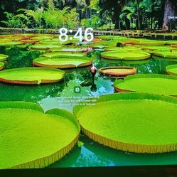 48" LG 4k Oled Gaming Monitor