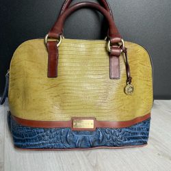 Brahmin 