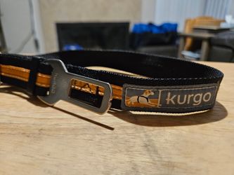 Dog/Cat seat belt leashes