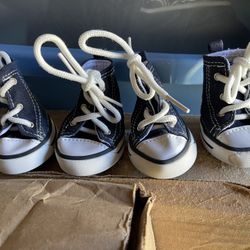Dog  Converse tennis shoes, size 5, have a slight scuff on one as shown in picture