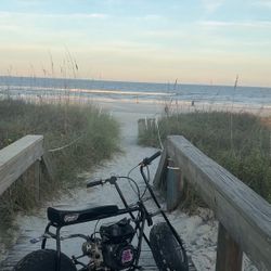 coleman mini bike 195cc