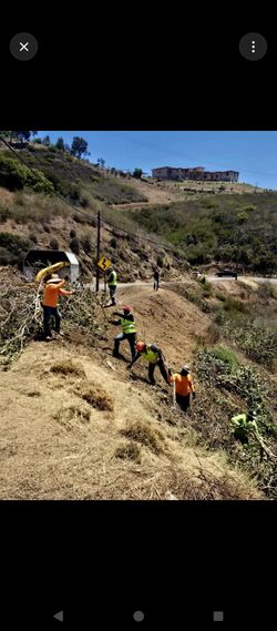 Hillside clean-ups, Fire Prevention
