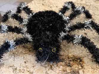 Big spider