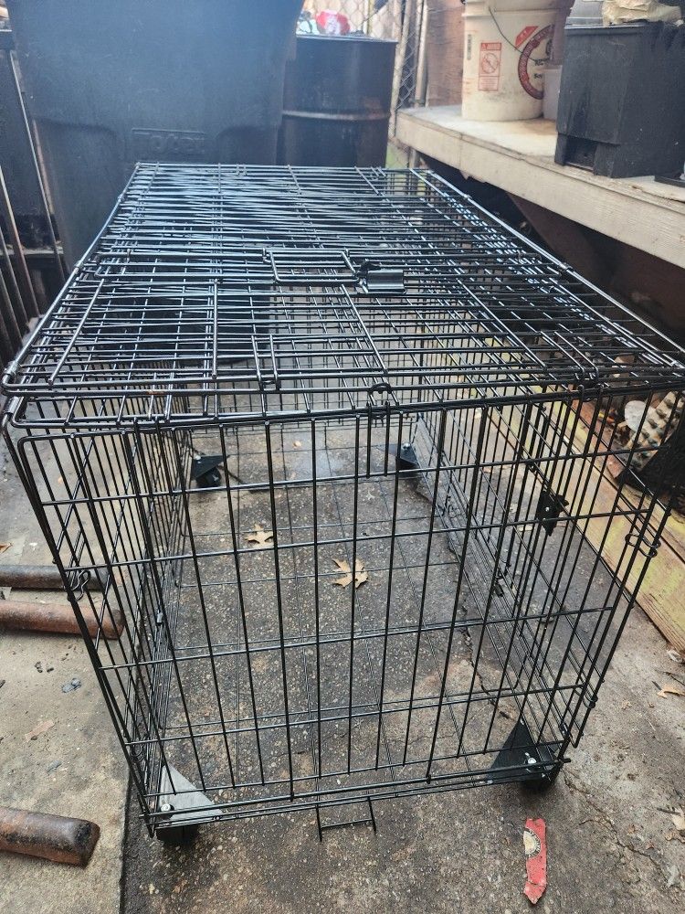 XL Cage