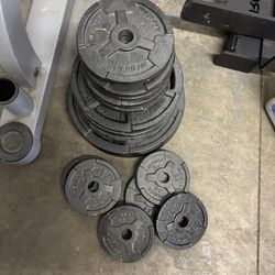 Weights 