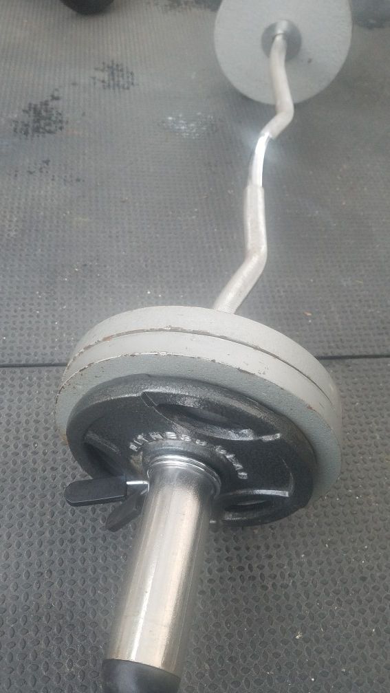 ( EXERCISE FITNESS 365 ) EXCELLENT CONDITION 65 LBS OLYMPIC CURL BAR WITH WEIGHTS