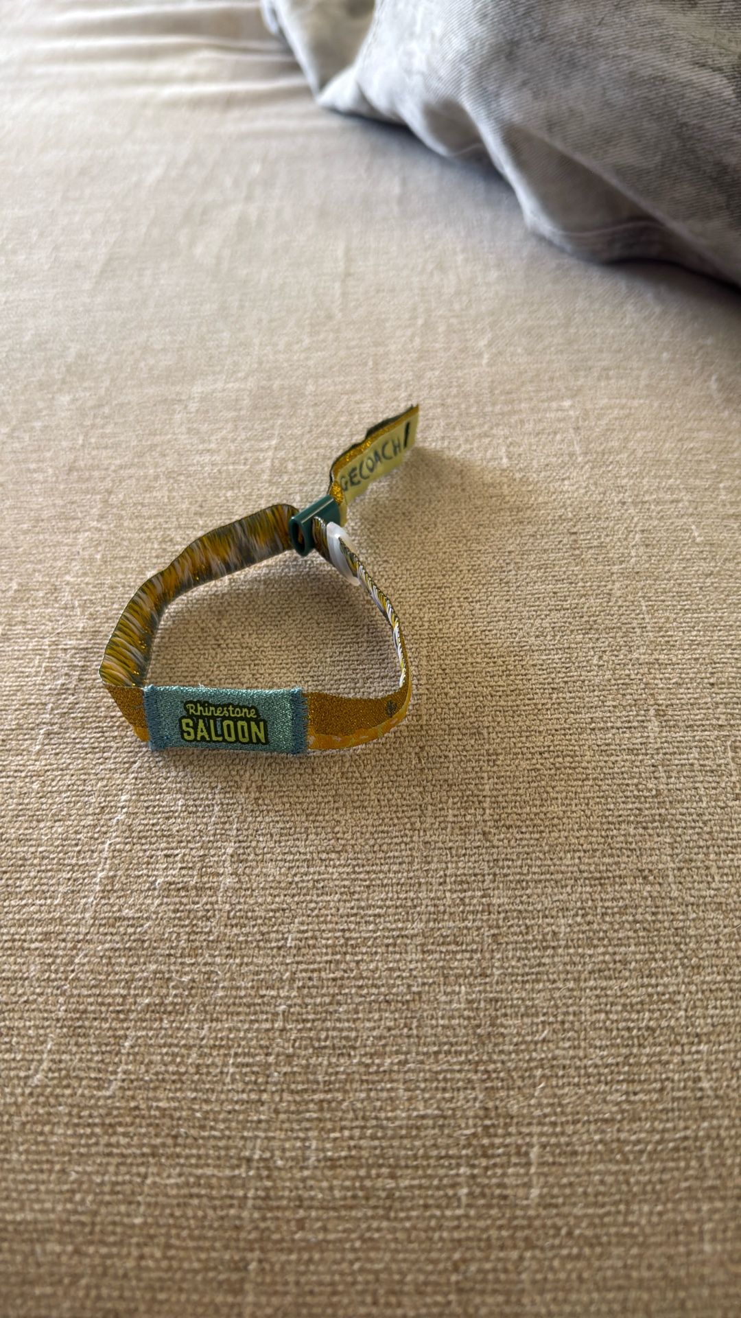 VIP Stagecoach Ticket