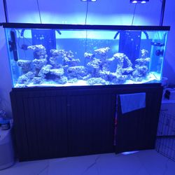 Fish Tank 180 Gallons 