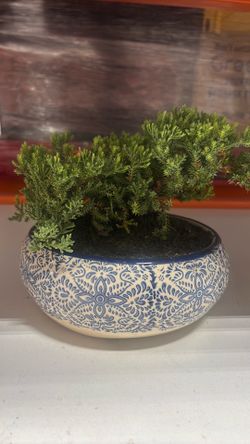 Home & Garden