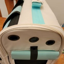 Free Kitten Carrier