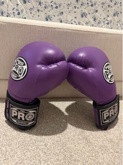 PBS PRO BOXING GLOVES, 10oz (medium)