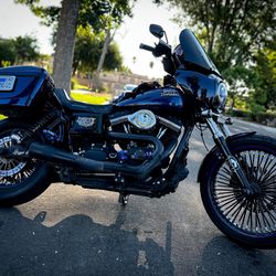2013 Harley davidson Street bob