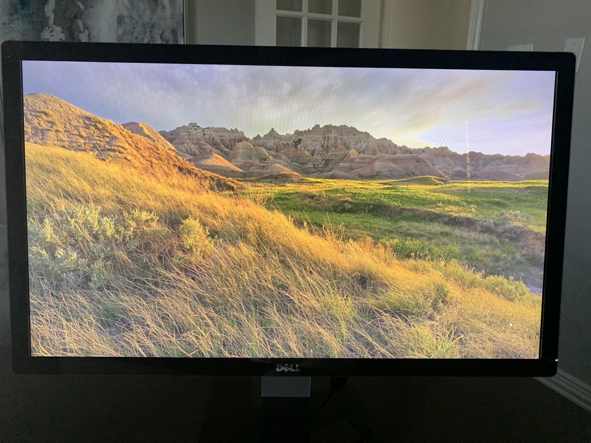 Dell 24” Monitor