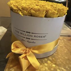 The Million Roses 🌹 !!!! 