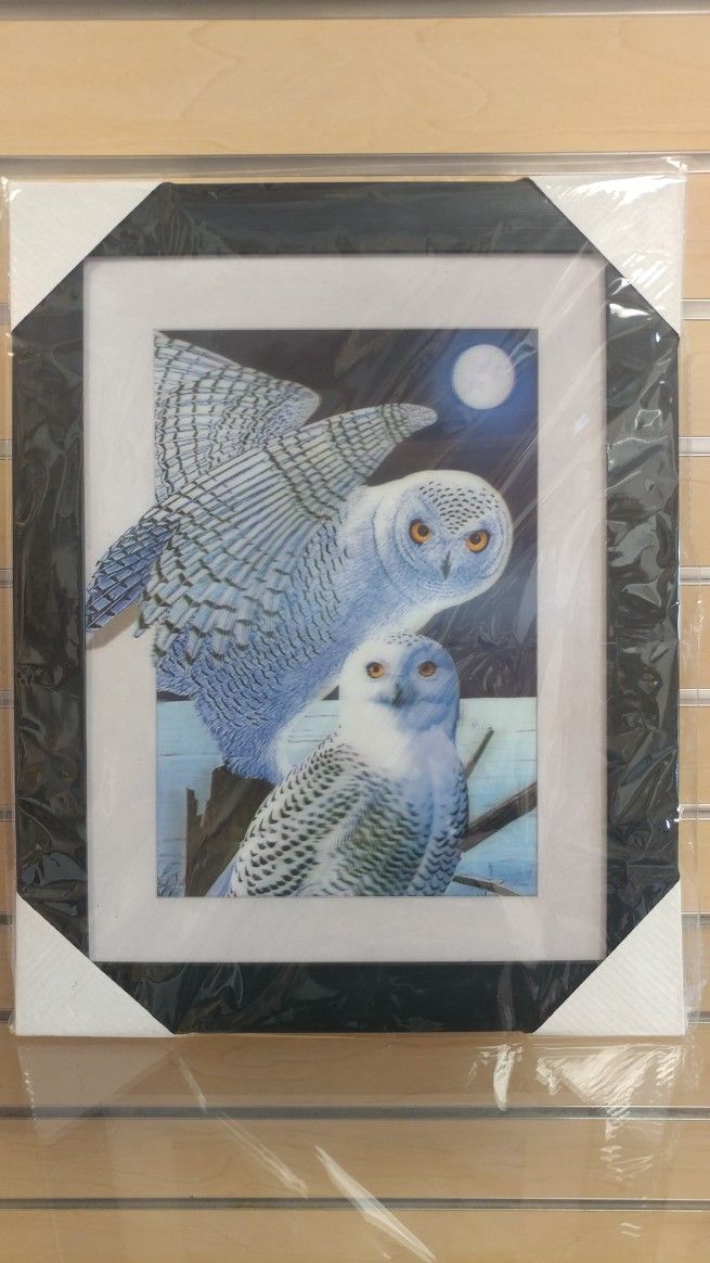 3-D picture _ 2 White Owls - $19.99 ( NEW ) black frame